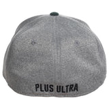 My Hero Academia UA Flex Hit Hat
